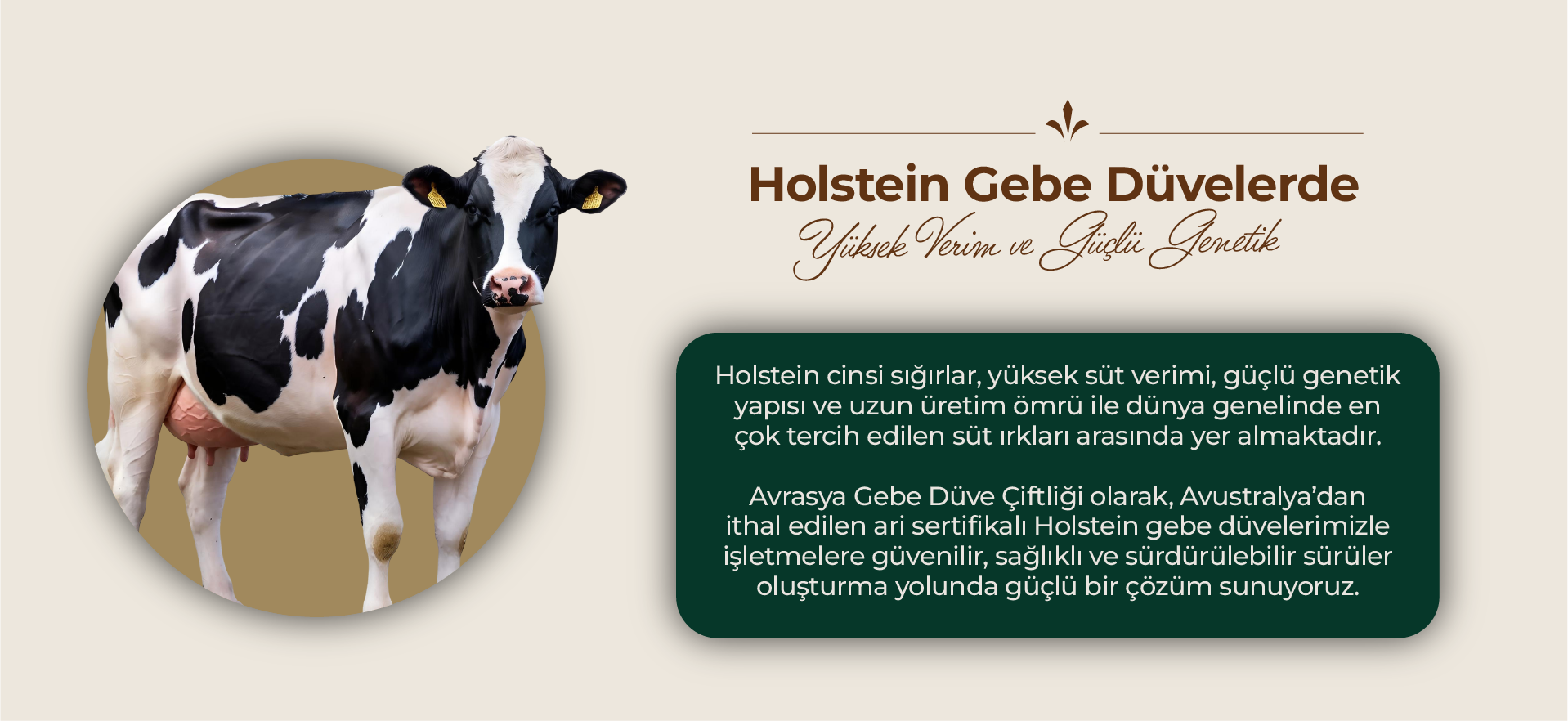 Avrasya Çiftliği Bilgi 1
